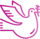 darlington-funeral-planning-services